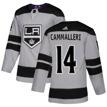 Mike Cammalleri Los Angeles Kings Adidas Youth Authentic Alternate Jersey - Gray